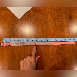 NWT 12”x”15 Pink Dog Collar with sparkles